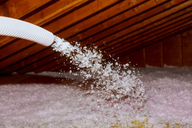 Best Types of Insulation in Queens Gate, PA